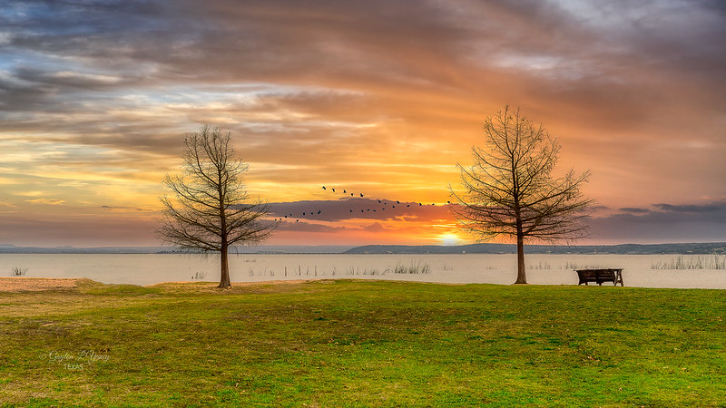 sunset photo of lake Buchanan with a bench and two trees