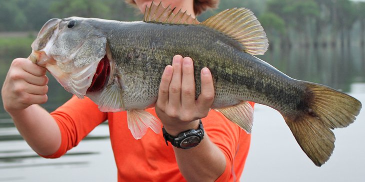 man in an orange shirt holding a fish