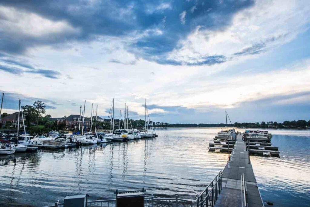 marina with boats and a pier