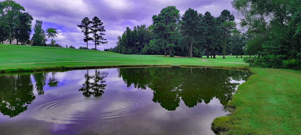 Pond in a golf course