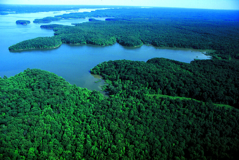 woods and water at Land Between the Lakes