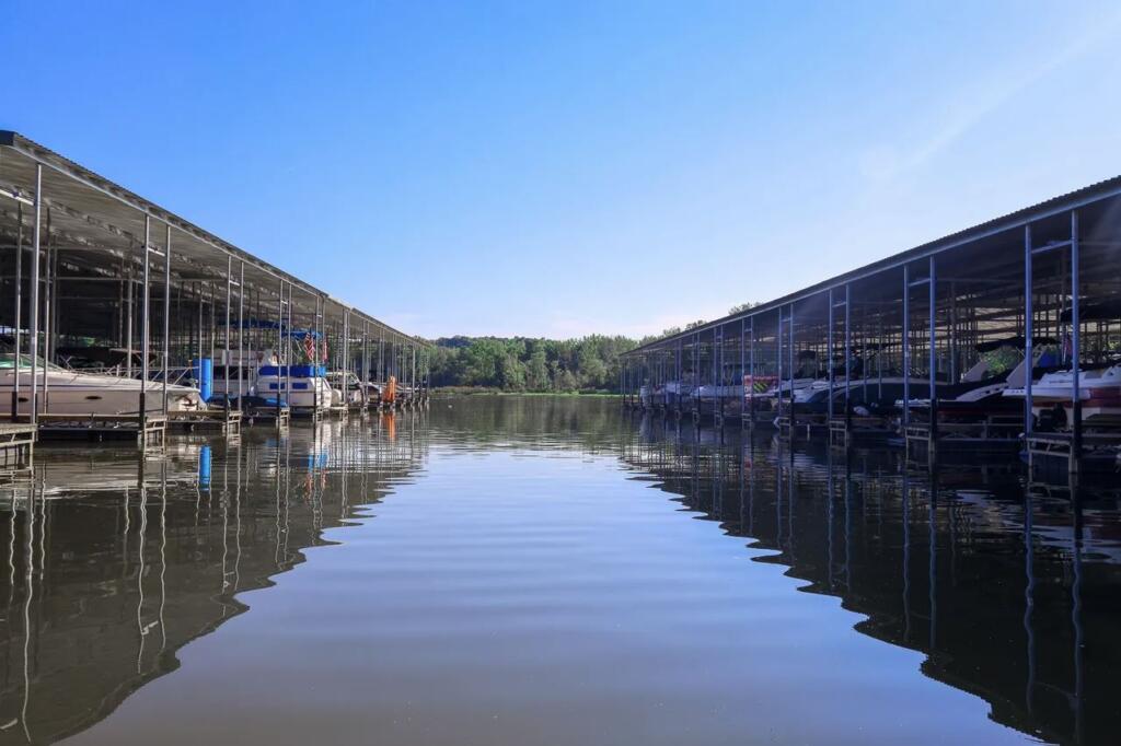 boats in a marina