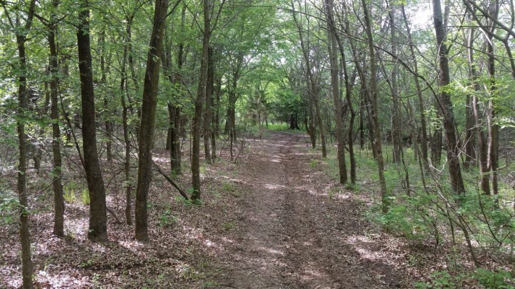 Green trees surrounding the Horseshoe Mountain Biking and Hiking Trail near Lake Grapevine, TX.