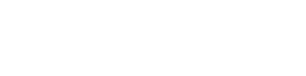 Lake Homes Realty Logo